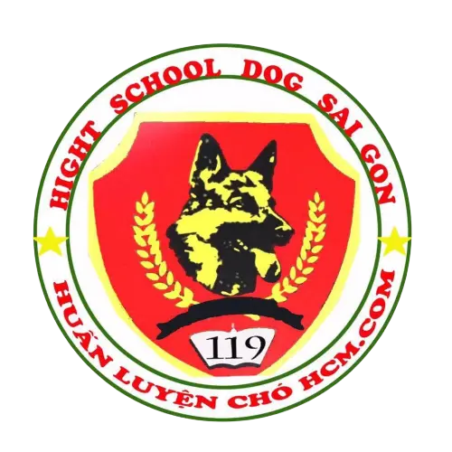 Huấn Luyện Chó