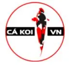 Cá Koi